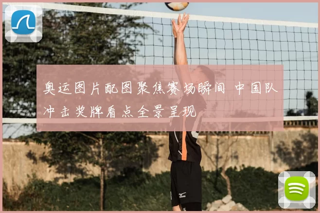奥运图片配图聚焦赛场瞬间 中国队冲击奖牌看点全景呈现