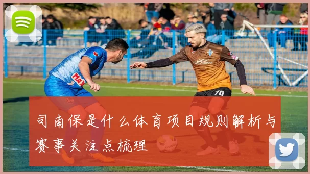 司南保是什么体育项目规则解析与赛事关注点梳理