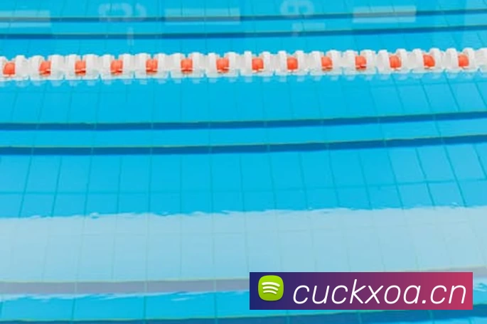 App Interface Preview